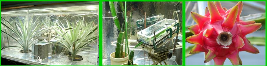 photo-21