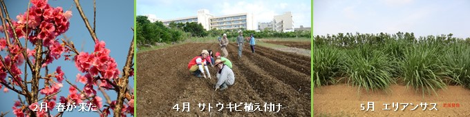 記事イメージ