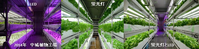 photo-22