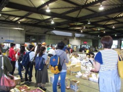 沖縄県中央卸売市場 早朝の取引の様子を見学させてもらいました。