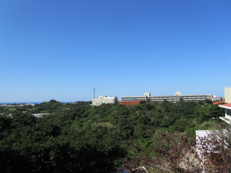 付属図書館のベランダから農学部と風樹館 空気も乾燥して、遠くまで見えます。