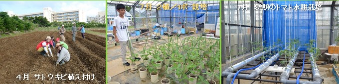 Photo-25