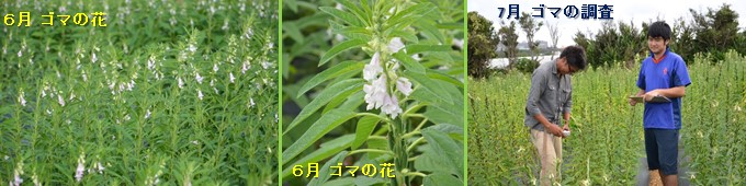 Photo-26