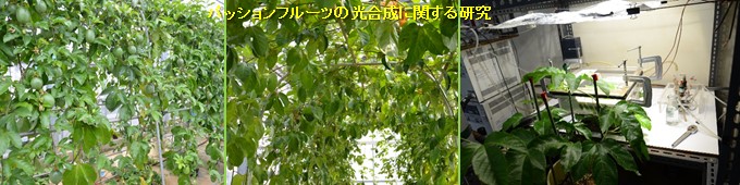 Photo-27