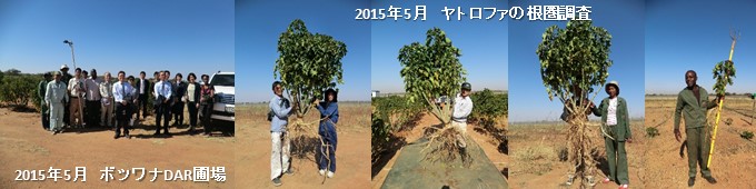 Photo-28