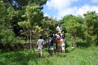 学校ビオトープ「見本園」