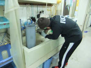 洗いものはオイラに任せて!