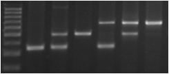 e59bb311