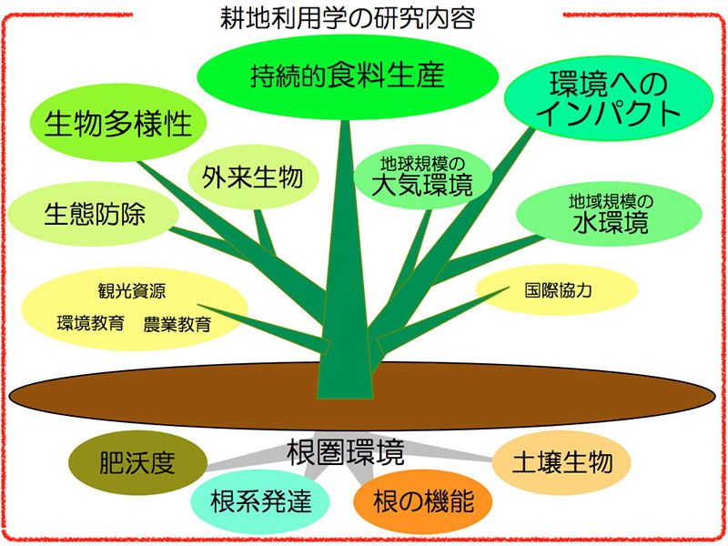 研究室イメージ