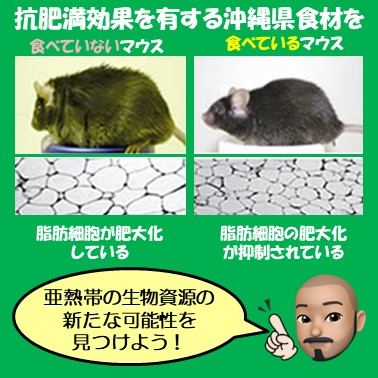 食資源利用学研究室