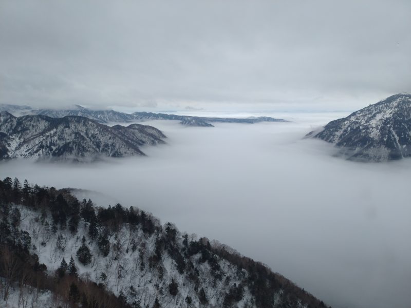 宮沢　良行
