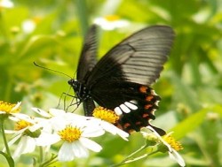 生態環境科学コース