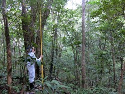 森林環境学コース