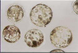 動物機能学コース