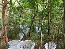 森林環境学コース