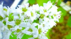 生態環境科学コース