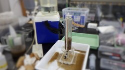 地域環境工学コース