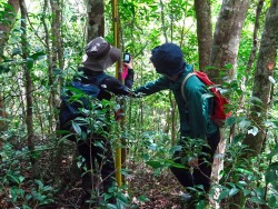 森林環境学コース