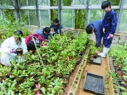 森林環境学コース