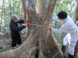 森林環境学コース