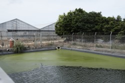 地域環境工学コース