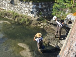 生態環境科学コース