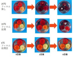 バイオシステム工学コース