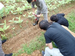 地域環境工学コース