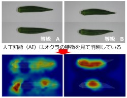 バイオシステム工学コース