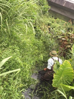 生態環境科学コース
