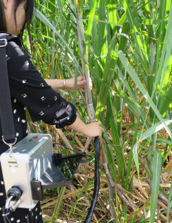 バイオシステム工学コース