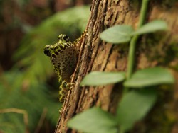 森林環境学コース