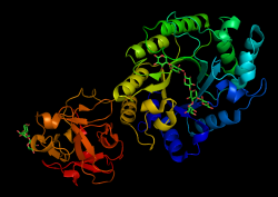 生物機能開発学コース
