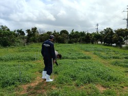 農林共生学コース