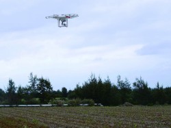 バイオシステム工学コース