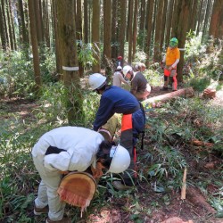 農林経済学コース