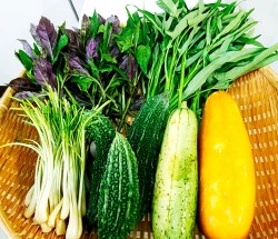 健康栄養科学コース