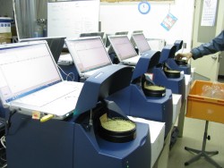 バイオシステム工学コース