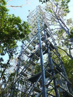 森林環境学コース