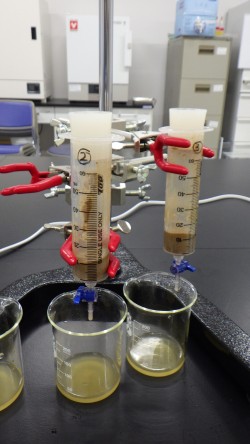 地域環境工学コース